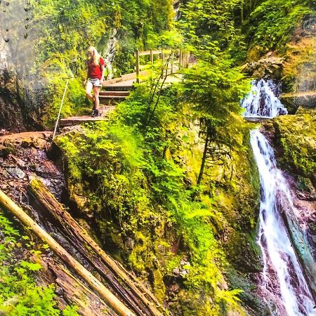Ferienwohnung Schwarzwald Todtmoos Exteriör bild