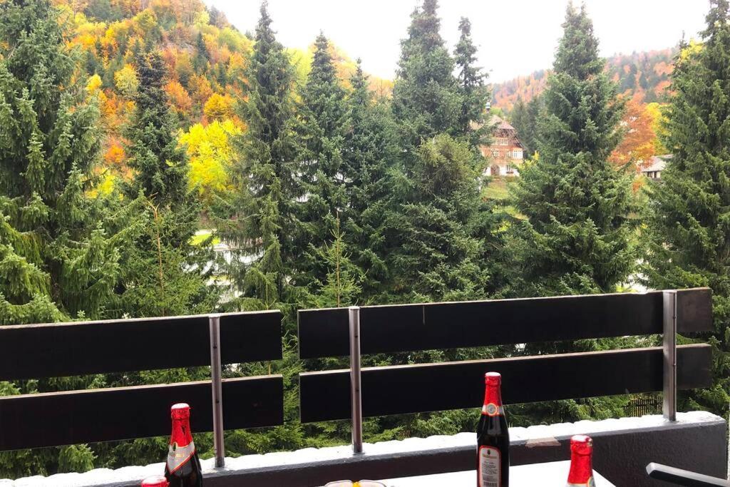 Ferienwohnung Schwarzwald Todtmoos Exteriör bild