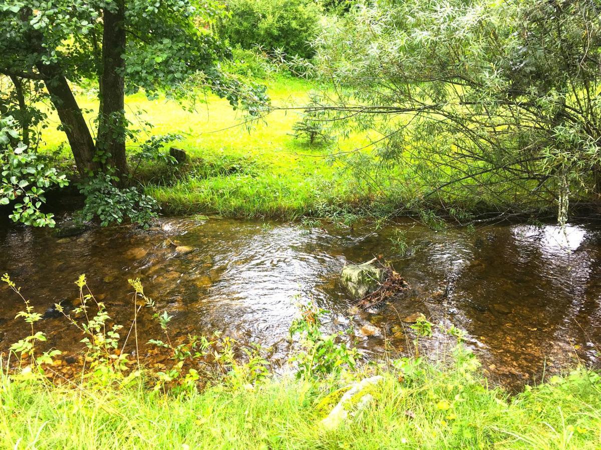 Ferienwohnung Schwarzwald Todtmoos Exteriör bild