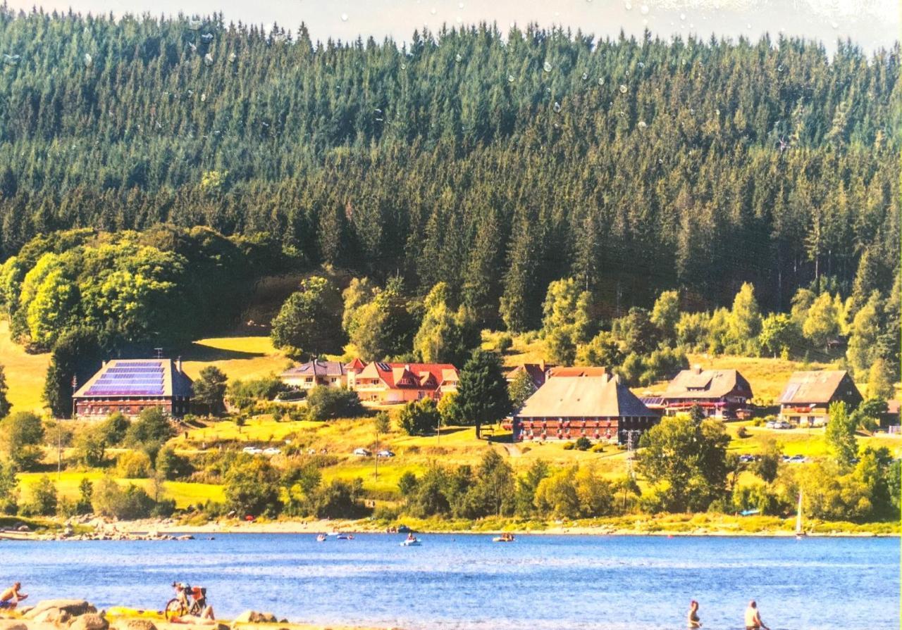 Ferienwohnung Schwarzwald Todtmoos Exteriör bild