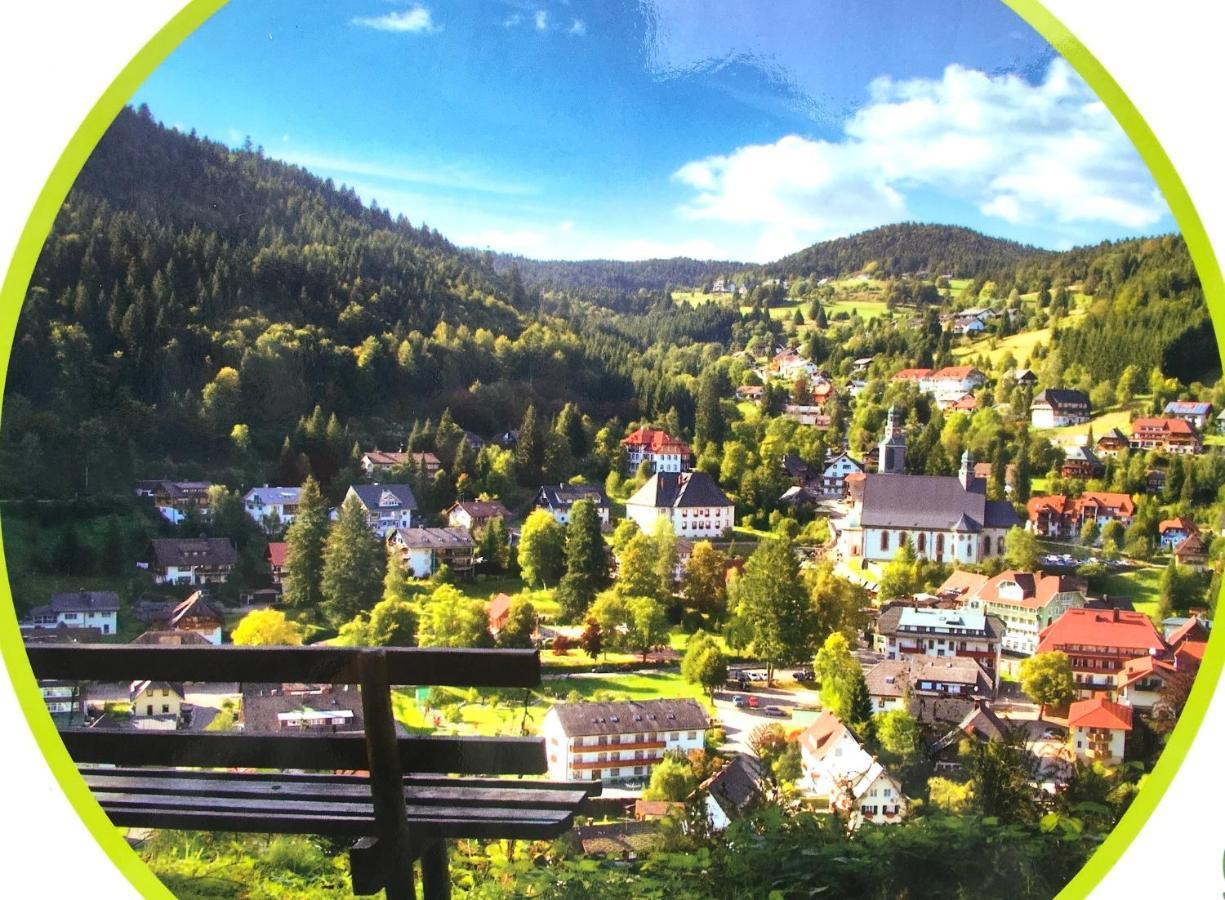 Ferienwohnung Schwarzwald Todtmoos Exteriör bild