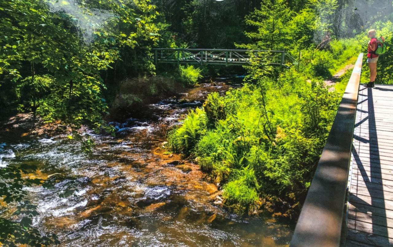 Ferienwohnung Schwarzwald Todtmoos Exteriör bild
