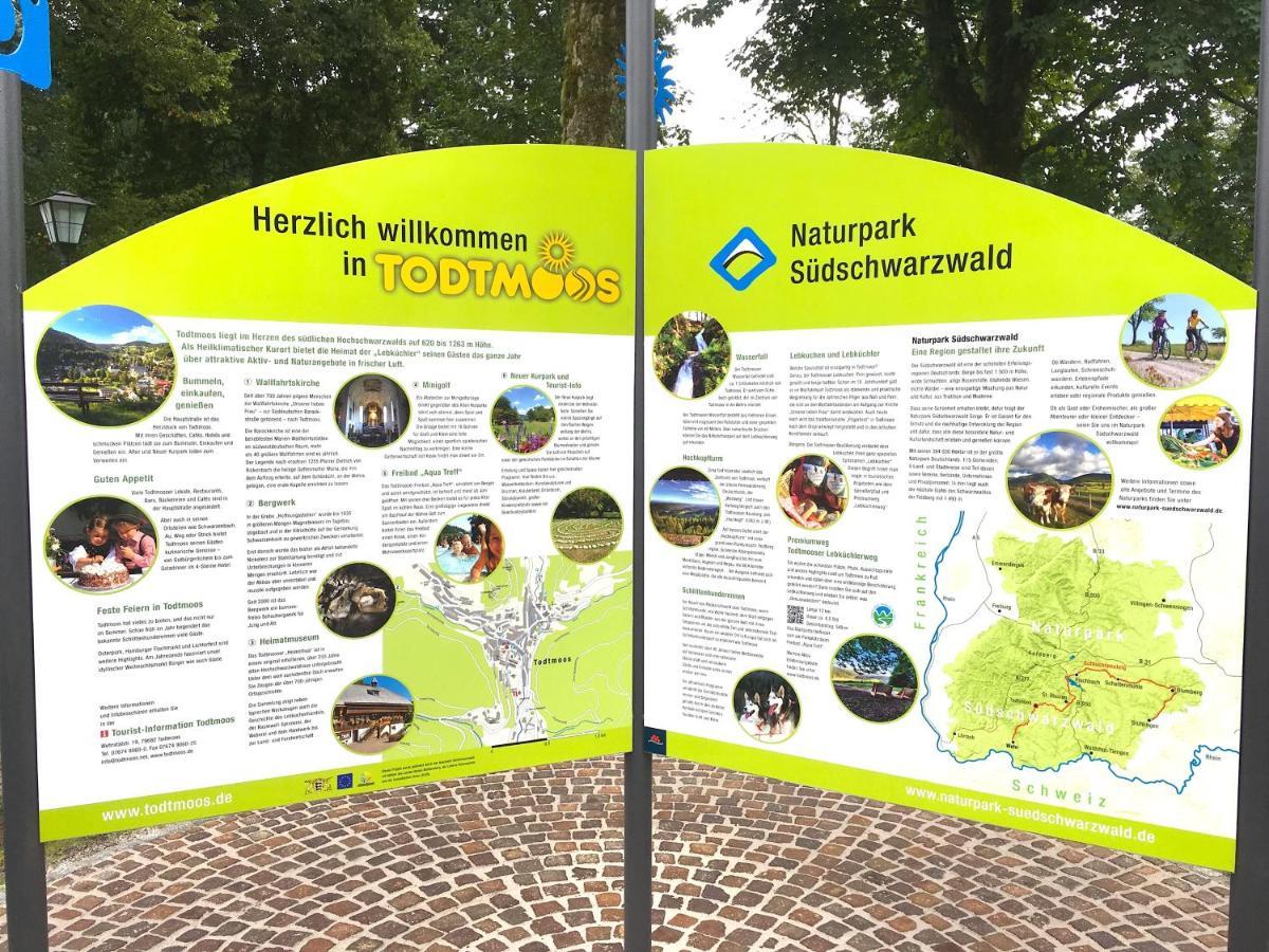 Ferienwohnung Schwarzwald Todtmoos Exteriör bild